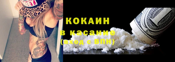 шишки Алексин