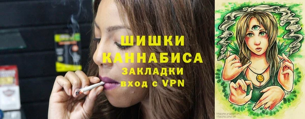 шишки Алексин