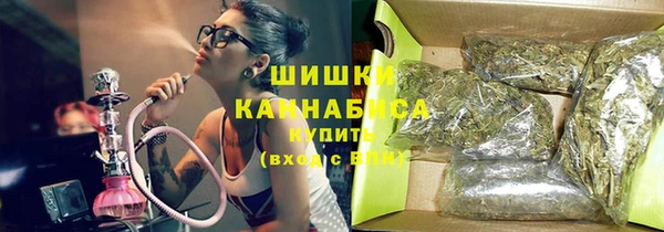 шишки Алексин
