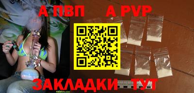 дурь Кингисепп