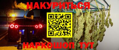 дурь Кингисепп