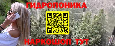 ГАЛЛЮЦИНОГЕННЫЕ ГРИБЫ Кинель