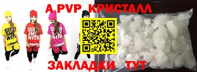 дурь Кингисепп