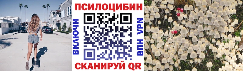 Псилоцибиновые грибы GOLDEN TEACHER  Касимов 