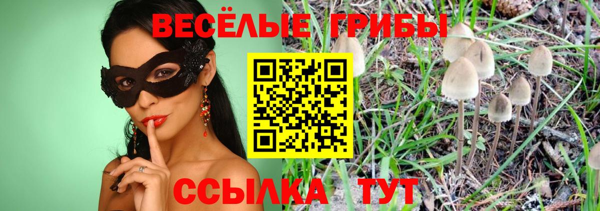Альфа ПВП Касимов