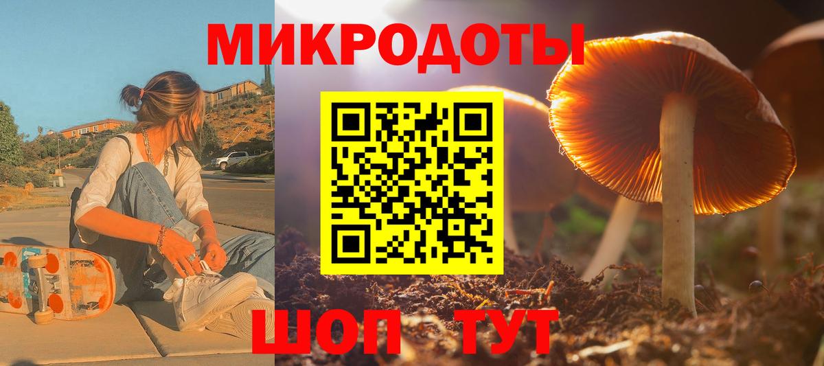 Касимов  Псилоцибиновые грибы Psilocybine cubensis  Галлюциногенные грибы мицелий  Вход с VPN 