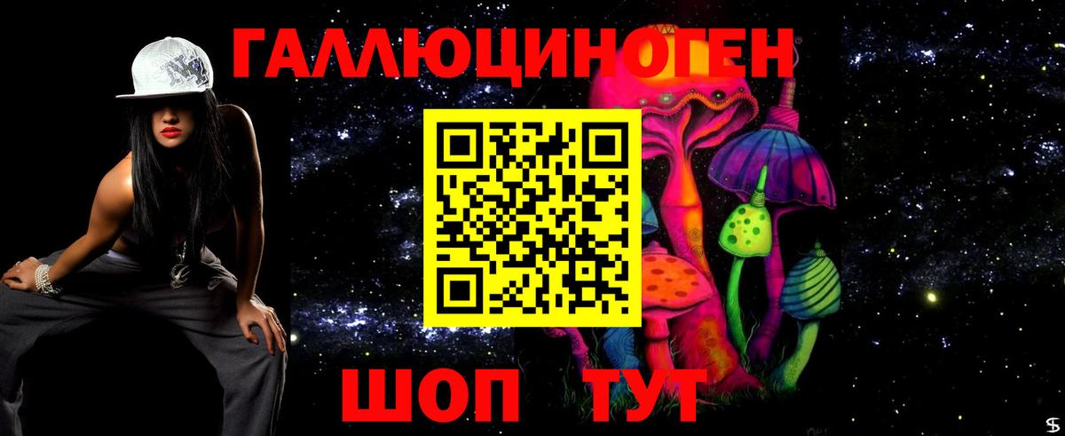 Псилоцибиновые грибы Psilocybine cubensis Касимов